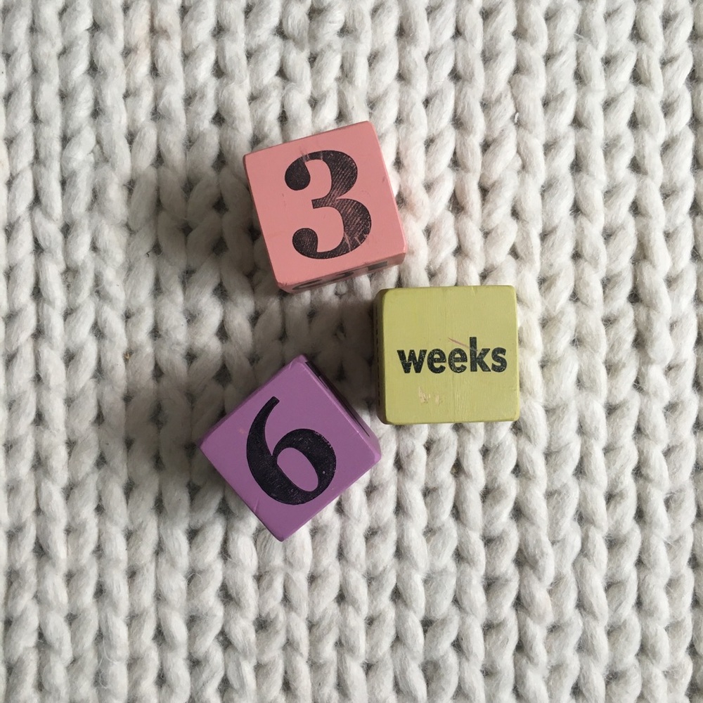 Wooden Baby Milestone Blocks